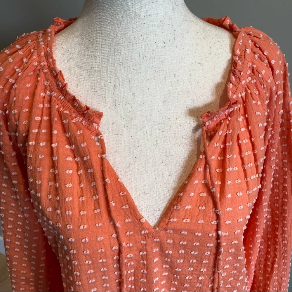 NWT Loft size Small Muted Orange Embroidered Polka Dots - Picture 5 of 12